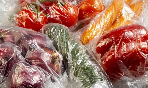 Neuartige Verpackung auf Pflanzenbasis hält Nahrung länger frisch