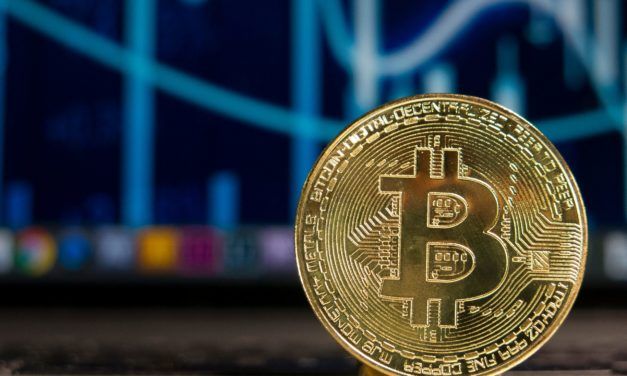 Bitcoin im Plus: BTC-Suchanfragen auf Jahreshoch