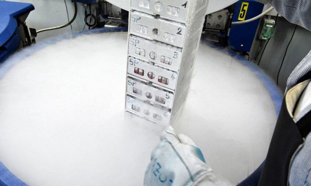 19 Millionen Euro für junge Forschung und „risikoreiche Ideen mit ungewissem Ausgang“