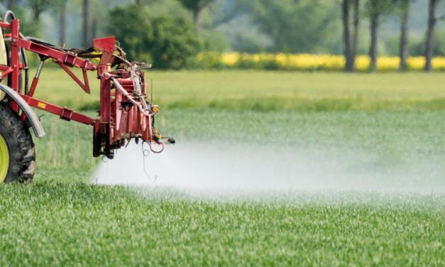 Bauern müssen künftig auf die Hälfte der Pestizide verzichten