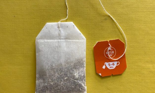 In einem Kräuterteebeutel finden sich Spuren von hunderten Insektenarten