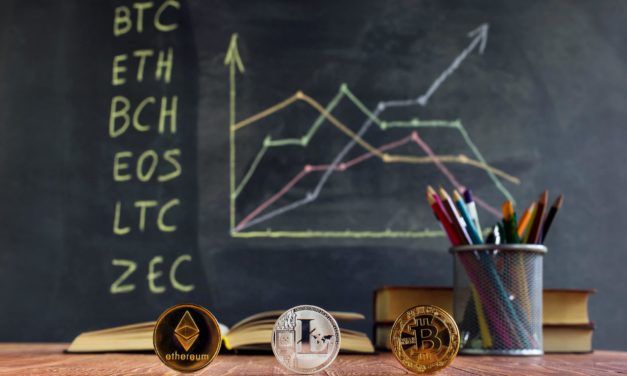 Muss ein Krypto-Studium wirklich 12.000 Euro kosten?