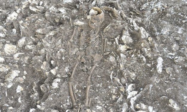 Koreas Einwohner waren in früheren Jahrhunderten genetisch vielfältiger