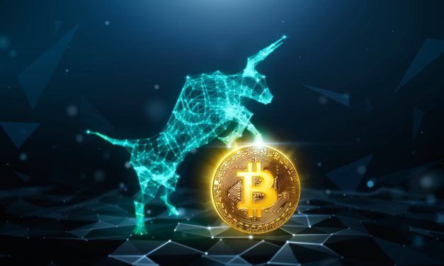 Bitcoin (BTC): Die Bullen machen sich bereit zur Gegenwehr