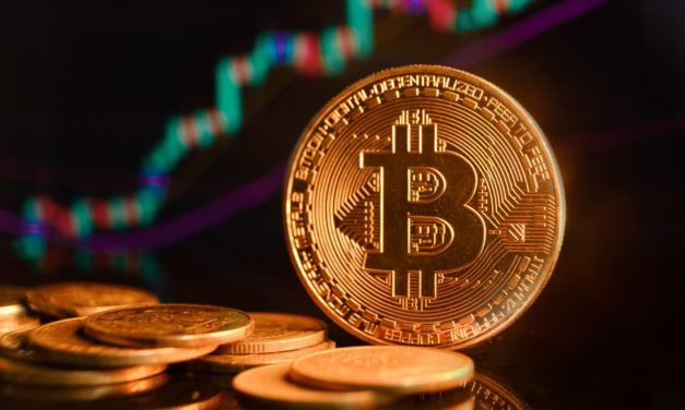 So gut schlägt sich Bitcoin im Vergleich zu Altcoins