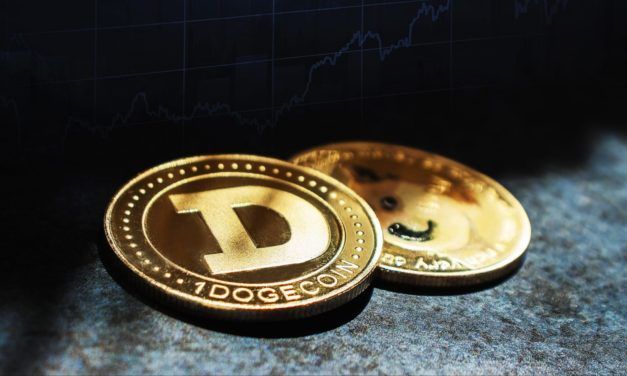 Dogecoin wird „für die schwersten Arten von Kriminalität genutzt“
