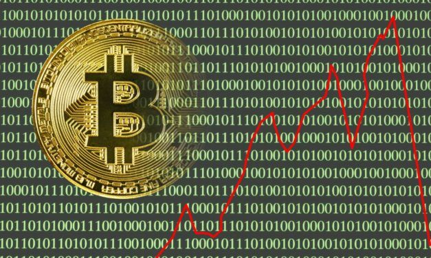 Krypto-Crash: Wie Hedgefonds profitierten wälhrend sich Billionen Dollar in Luft auflösten