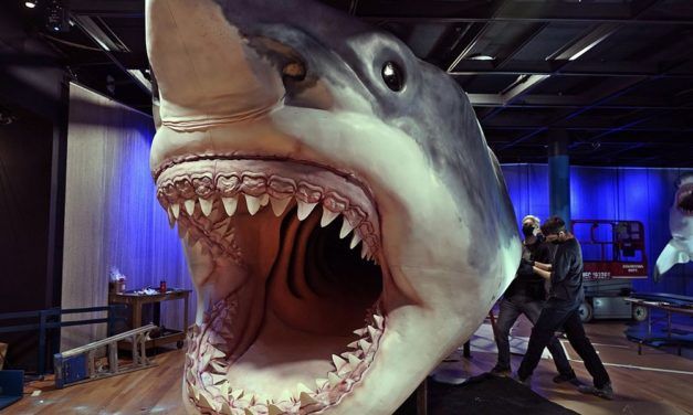 Megalodon jagte die anderen Spitzenräuber seiner Zeit