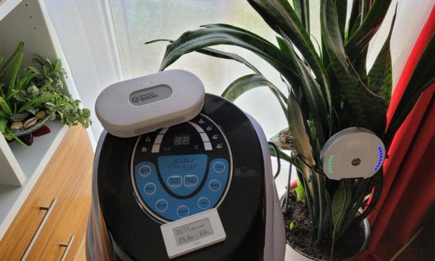 Schimmel bekämpfen, Gesundheit schützen: Smarte Technik für gutes Raumklima ab 20 Euro