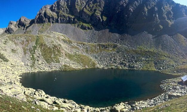 Weshalb Fische nichts in Bergseen verloren haben