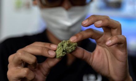 UN-Drogenbericht: Cannabiskonsum belastet Gesundheitssysteme