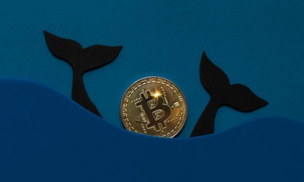 Krypto-Korrektur: Großinvestoren auf Bitcoin-Schnäppchenjagd
