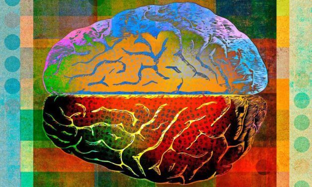 Unser Gehirn heizt sich im Laufe des Tages auf bis zu 40 Grad auf