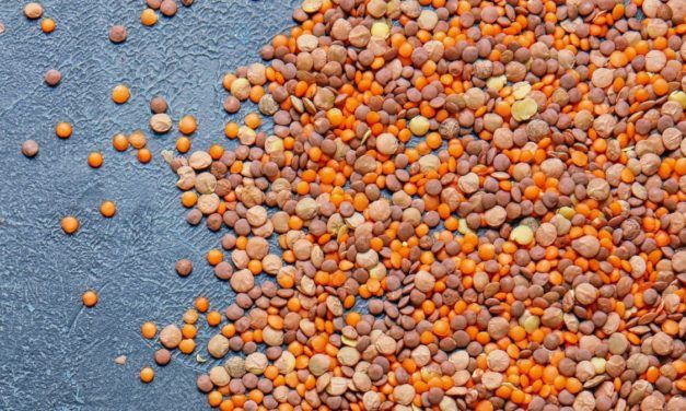 Random Mosaic: Fremdzugriffe mit Bohnen, Linsen oder buntem Reis erkennen