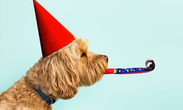 Trotz Kursflaute: Krypto-Markt feiert 20.000 Coins und Token