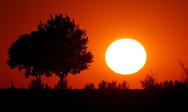 Hitzewellen werden deutlich schlimmer und häufiger