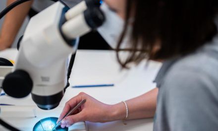 AIT steckt Rekorderlöse in Forschungsinfrastruktur