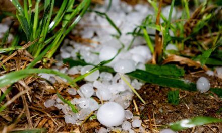 Österreichische Hagelversicherung: „Heuer kann noch viel passieren“