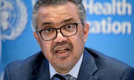 Affenpocken: WHO warnt vor Risiko für Schwangere