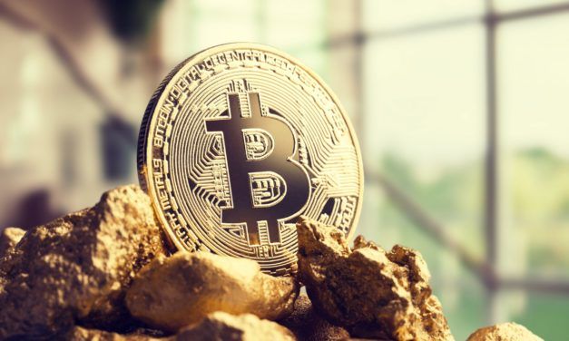 Deutscher Vermögensverwalter Oskar bietet jetzt auch Krypto an