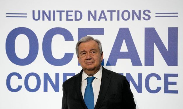 Blue Bonds: Ein Investment ins Blaue