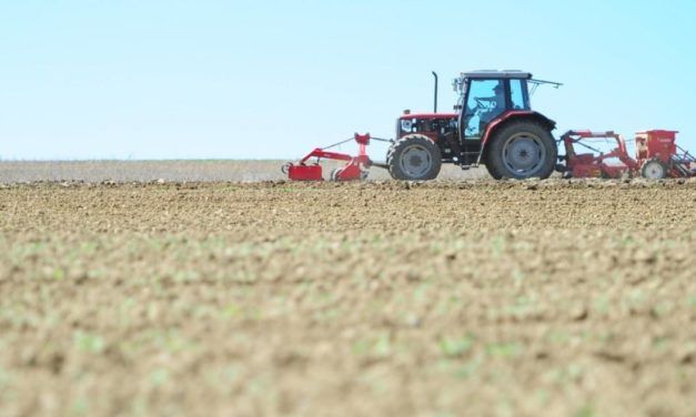 Ukraine-Krieg verteuerte Agrarprodukte in EU um fast zehn Prozent