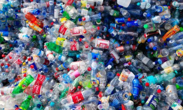 Wie will Coca-Cola die Zero-Waste-Strategie umsetzen?