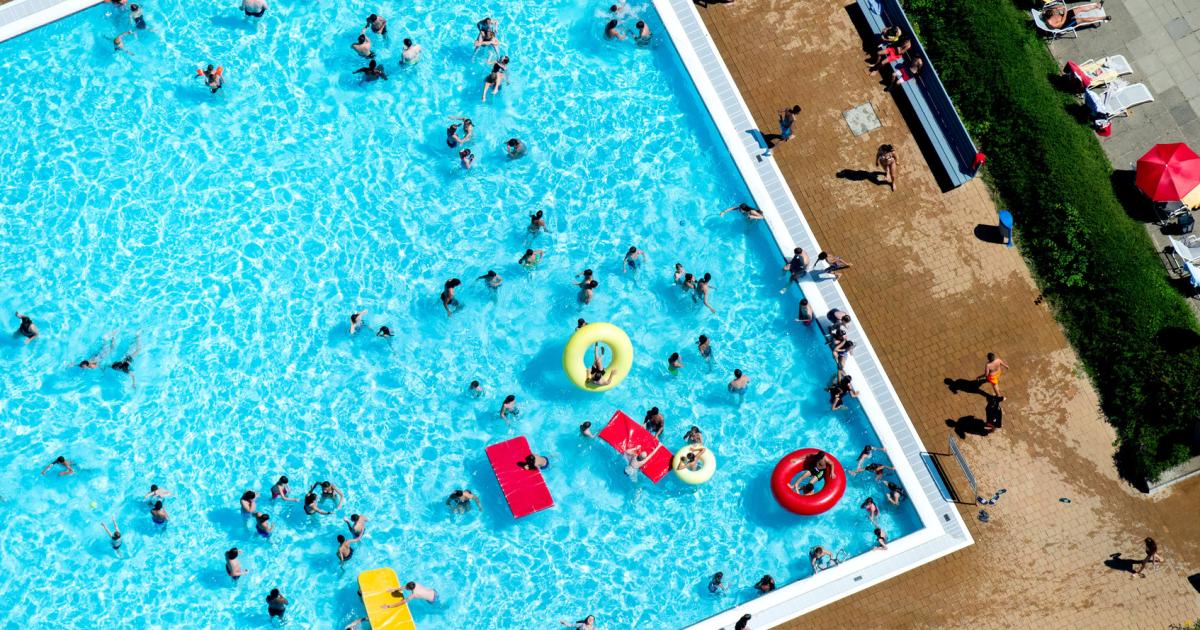 Wie sauber ist das Schwimmbadwasser? Experten geben die Antwort