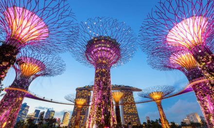 Singapur: Hat der Löwenstaat als Krypto-Paradies ausgedient?