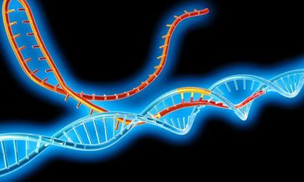 Umstrittener Einsatz der Gen-Schere CRISPR bei Nutzpflanzen