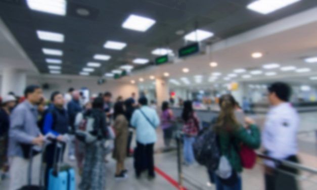 Bitkom: Deutschland soll gezielt IT-Fachkräfte aus Russland abwerben