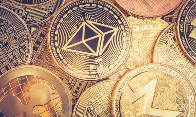 BTC, DOGE oder ADA? Diese Kryptowährungen interessieren am meisten