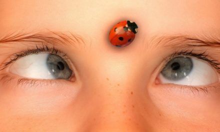 Browser-Nachwuchs: Freie Engine tritt gegen Googles De-facto-Monopol an