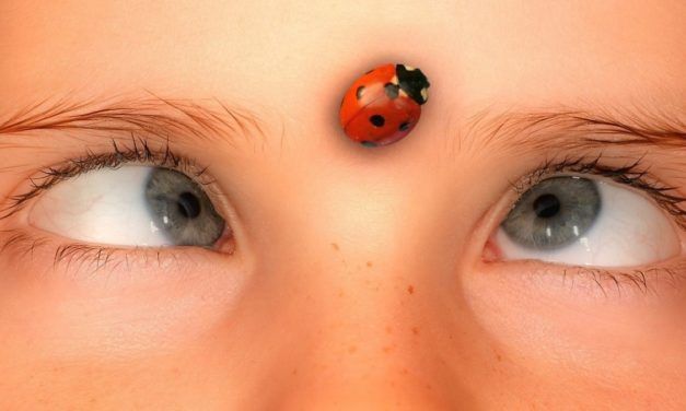 Browser-Nachwuchs: Freie Engine tritt gegen Googles De-facto-Monopol an