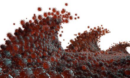 Stabilisierung bei Infektionen: Hoffnungsschimmer in der Sommerwelle?