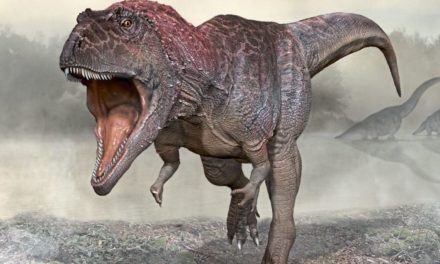 Rätsel um riesigen Raubsaurier mit winzigen Armen