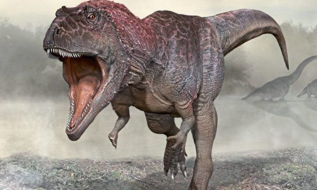 Rätsel um riesigen Raubsaurier mit winzigen Armen
