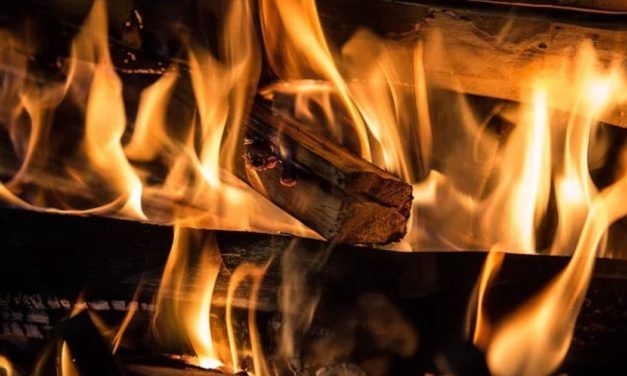 Nachfrage nach Brennholz stark gestiegen