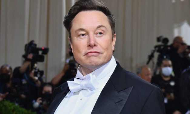 Elon Musk übernimmt Twitter doch nicht