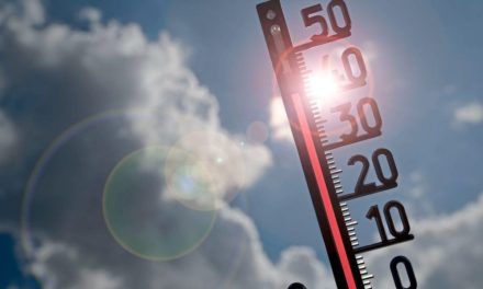 Wie dramatisch wird die Hitzewelle im Juli wirklich?