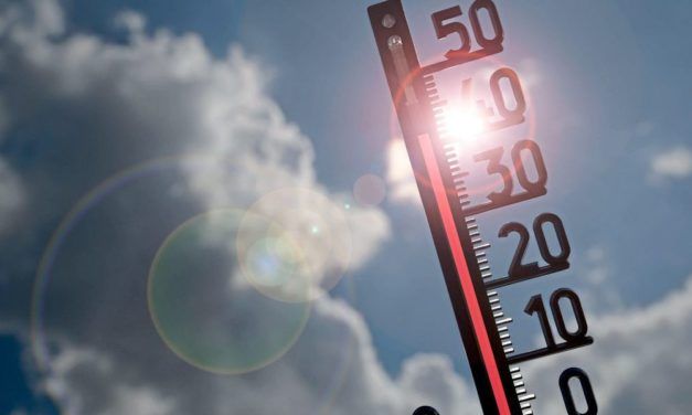 Wie dramatisch wird die Hitzewelle im Juli wirklich?