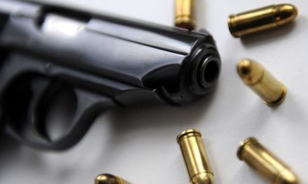 Seit Ukrainekrieg ist Zahl der Waffenführerscheine gestiegen