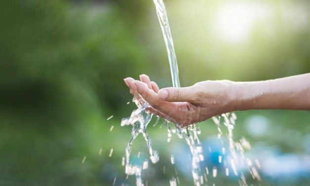 Wie Sie Wasser sparen und damit ihre Geldbörse schonen