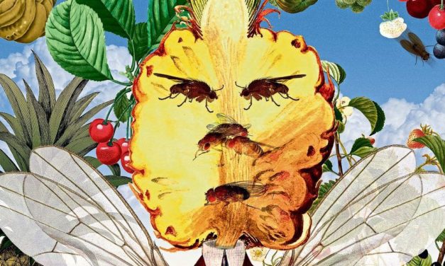 Wie Tiere ihr Erbgut verändern, um Hitze besser zu ertragen