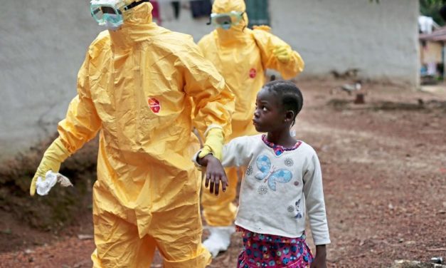 Afrika droht zum Hotspot für Tier-Mensch-Infektionen zu werden