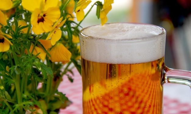 Bierbrauer fürchten Gasengpass: Kein Malz, keine Flaschen