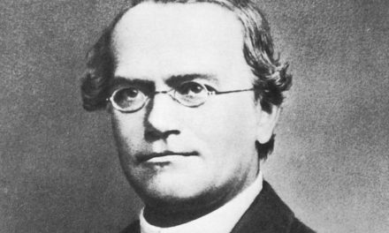 Gregor-Mendel-Jubiläum: Erinnerungsorte und Veranstaltungen