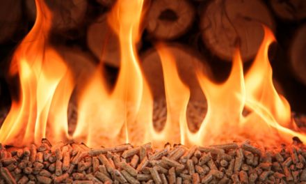 Pellets: Lieferengpässe und explodierende Preise