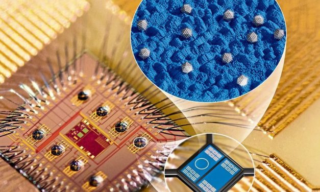 Künstliche Nase wittert Gefahren für die Gesundheit