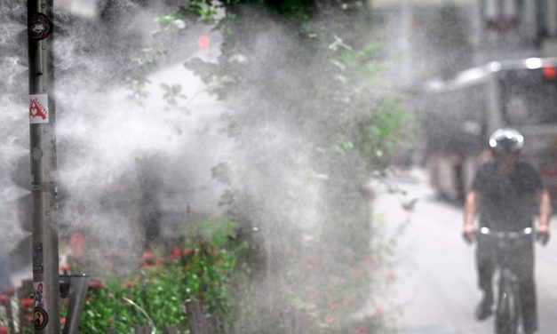 Wie die erdrückende Hitze in Städten bekämpft werden kann